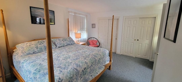 carpeted bedroom with two closets