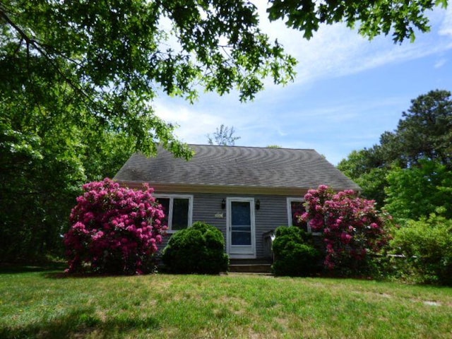 cape cod house with a front yard