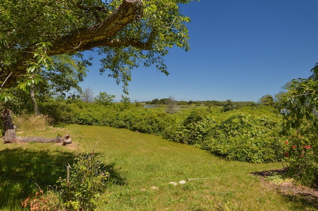 20 Boat Meadow Way, Eastham, MA 02642 - photo 47