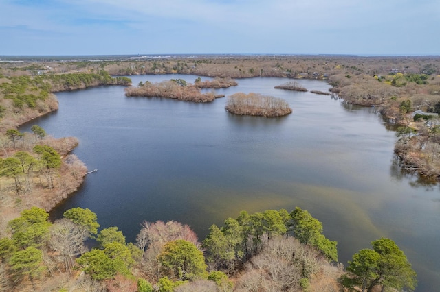 29 Water View Cir, Centerville, MA 02632 - drone / aerial view of a nearby body of water and a forest