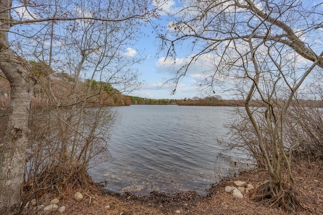 29 Water View Cir, Centerville, MA 02632 - water view with a heavily wooded area