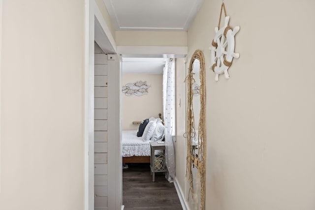 hallway featuring dark wood-type flooring and crown molding