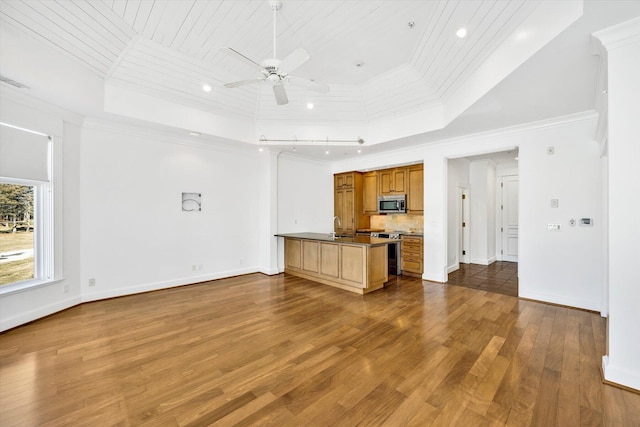 kitchen with ornamental molding, appliances with stainless steel finishes, and a raised ceiling