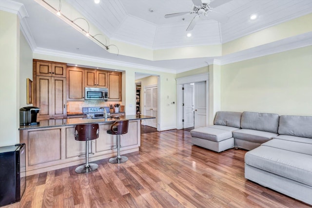 kitchen featuring a kitchen bar, appliances with stainless steel finishes, ornamental molding, kitchen peninsula, and a tray ceiling