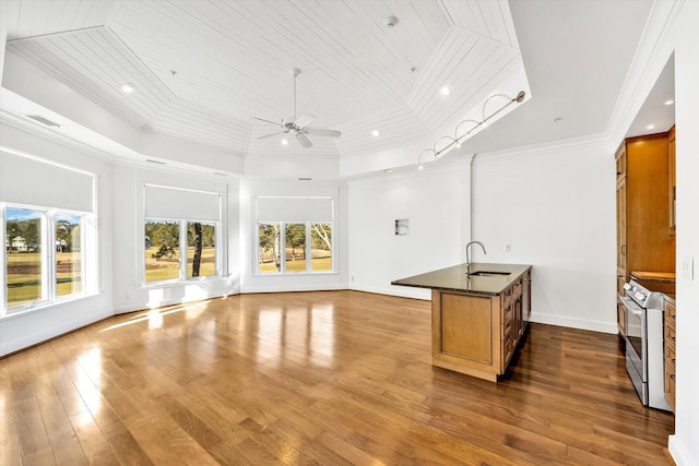 kitchen with sink, crown molding, ceiling fan, dark hardwood / wood-style floors, and stainless steel range with electric cooktop