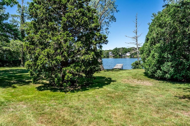 81 Beebe Acres Rd, Falmouth, MA 02540 - photo 8