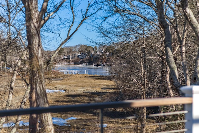 view of yard with a water view