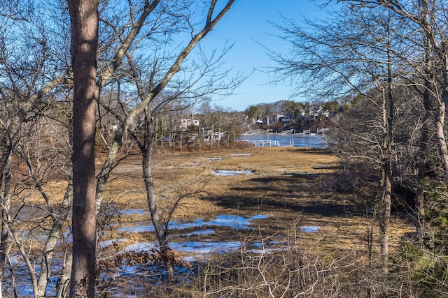 view of yard with a water view and a view of trees