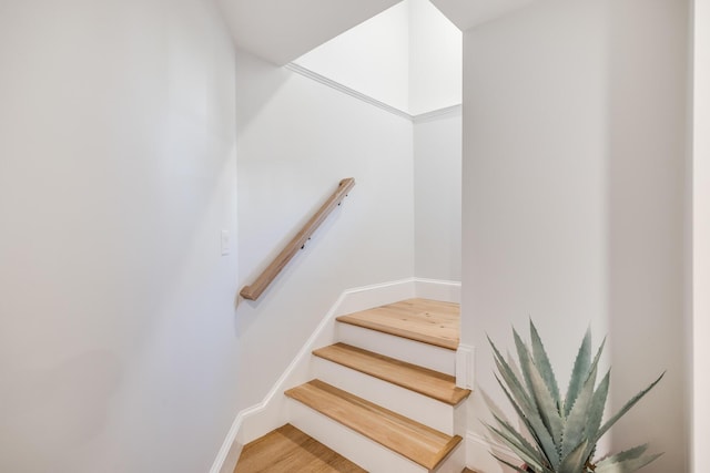 stairway with wood finished floors