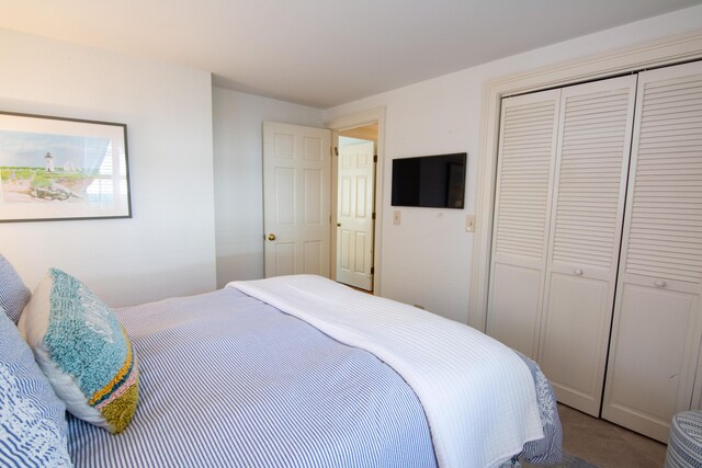 bedroom with a closet and carpet flooring