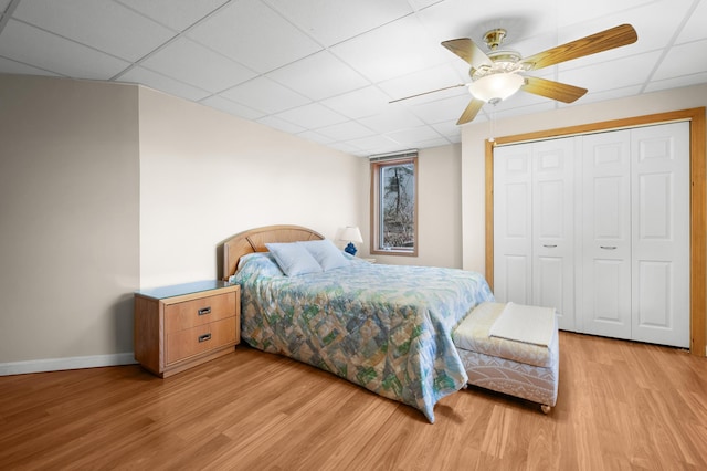 bedroom with ceiling fan, a closet, light hardwood / wood-style flooring, and a drop ceiling