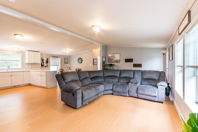 248 Mattapoisett Rd, Acushnet, MA 02743 - living room with light wood-type flooring