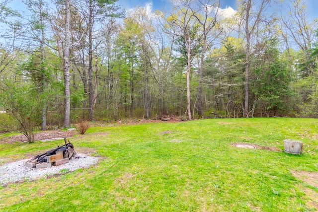 248 Mattapoisett Rd, Acushnet, MA 02743 - view of grassy yard with a forest view