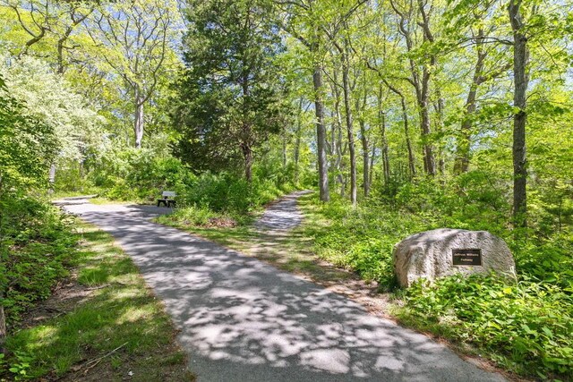 354 Gifford St Unit 1, Falmouth, MA 02540 - view of street featuring a wooded view