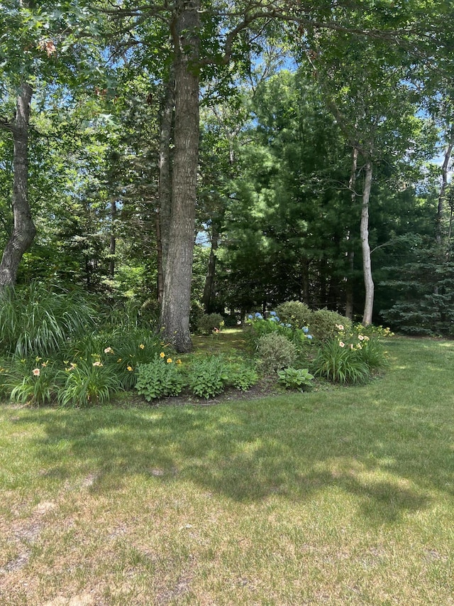 38 Rivers Edge Rd, East Falmouth, MA 02536 - photo 39