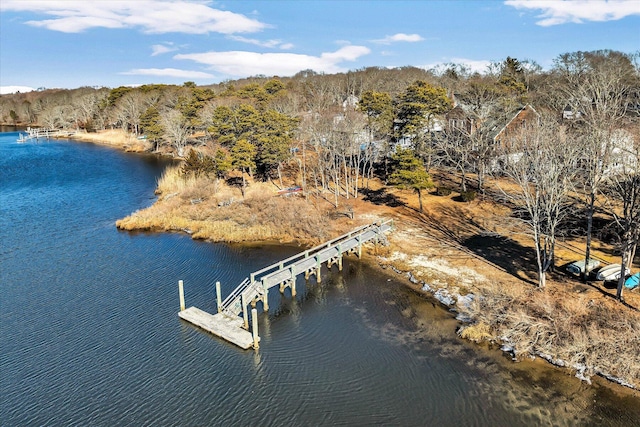 aerial view featuring a water view and a forest view