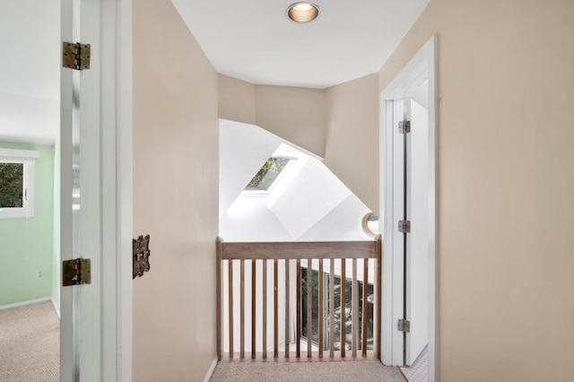 stairs featuring a skylight and carpet