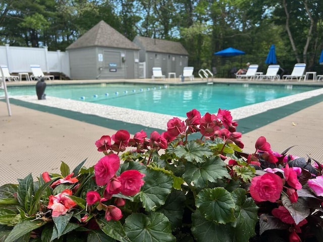 view of swimming pool with a patio area