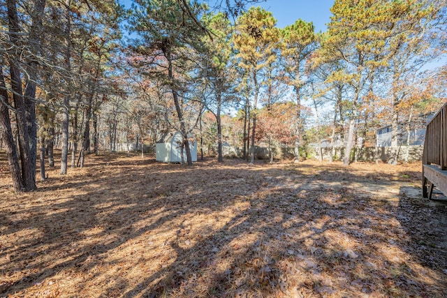 view of yard with a storage shed