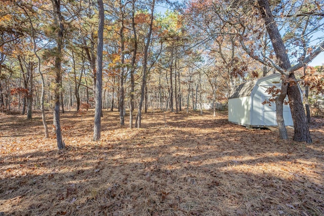 view of yard with a shed