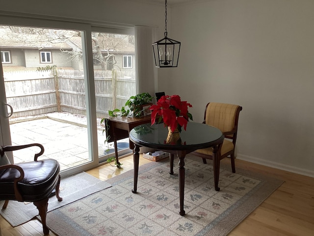 dining area featuring light hardwood / wood-style flooring