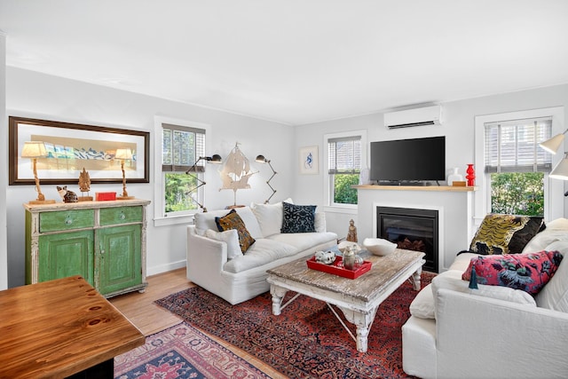7 Anthony St, Provincetown, MA 02657 - living room with a wall unit AC, light wood-type flooring, and a glass covered fireplace