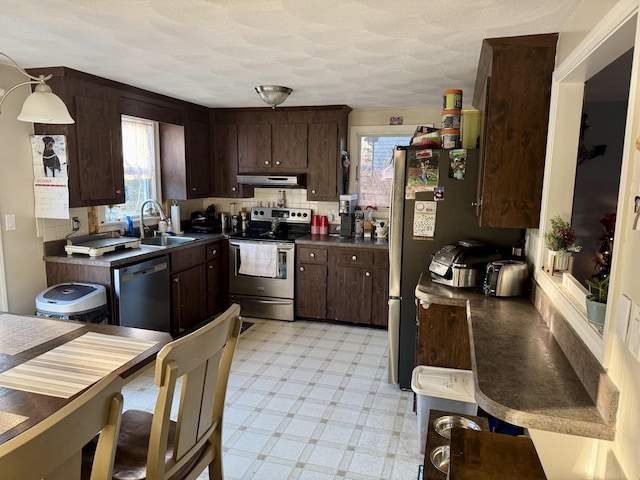 kitchen with sink, dark brown cabinetry, and appliances with stainless steel finishes