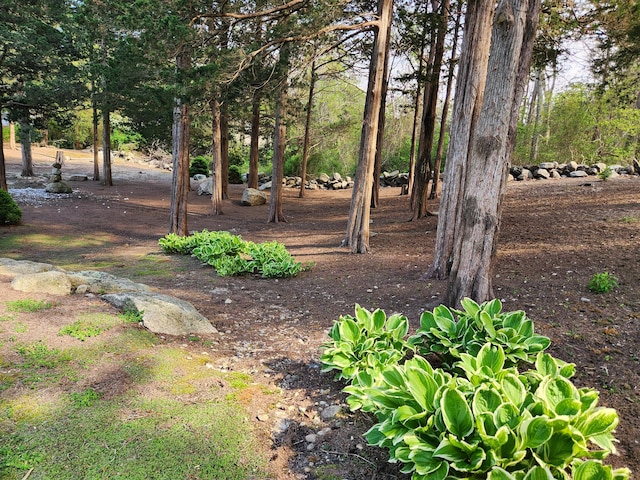 83 Colonial Way W, Falmouth, MA 02540 - view of yard