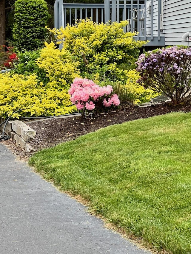83 Colonial Way W, Falmouth, MA 02540 - view of green lawn
