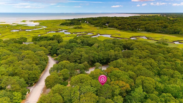 12 Skaket Way, Brewster, MA 02631 - photo 46