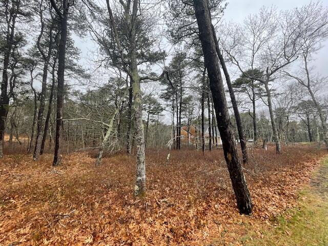 30 Sam Hollow Rd, Wellfleet, MA 02667 - photo 10