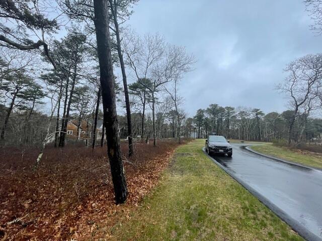 30 Sam Hollow Rd, Wellfleet, MA 02667 - photo 8