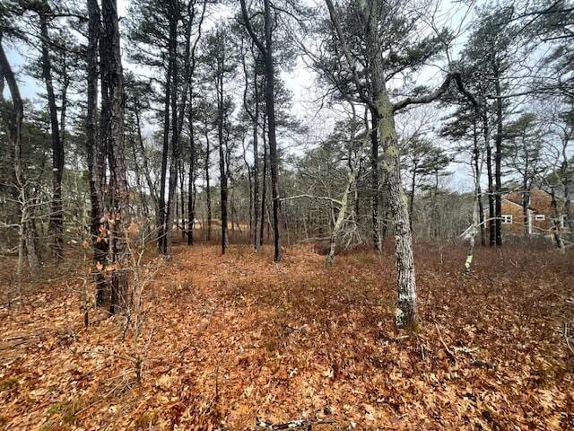 30 Sam Hollow Rd, Wellfleet, MA 02667 - photo 11