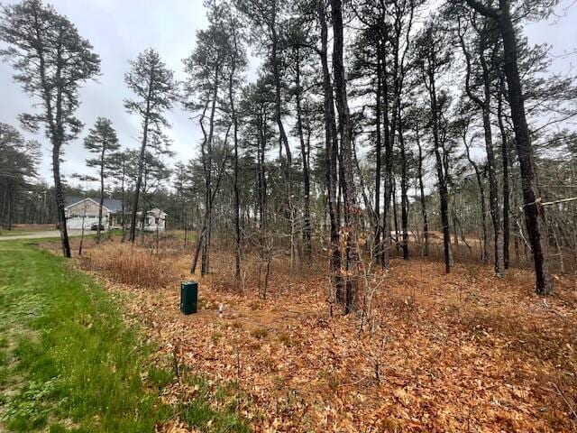 30 Sam Hollow Rd, Wellfleet, MA 02667 - photo 9