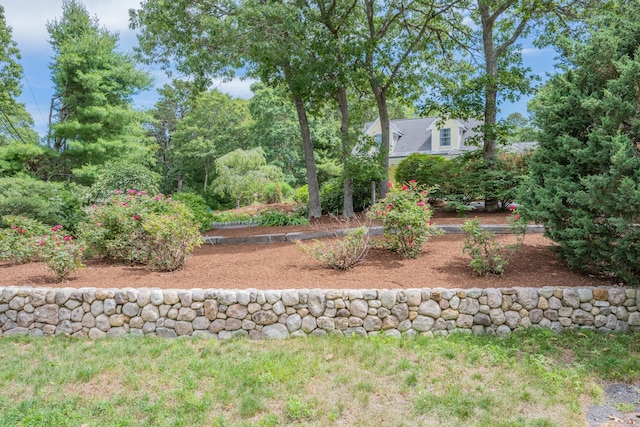 2 Julie Ln, Cotuit, MA 02635 - view of yard