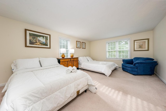 bedroom with carpet