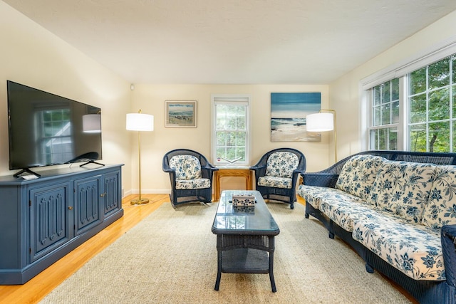 living room featuring light hardwood / wood-style floors