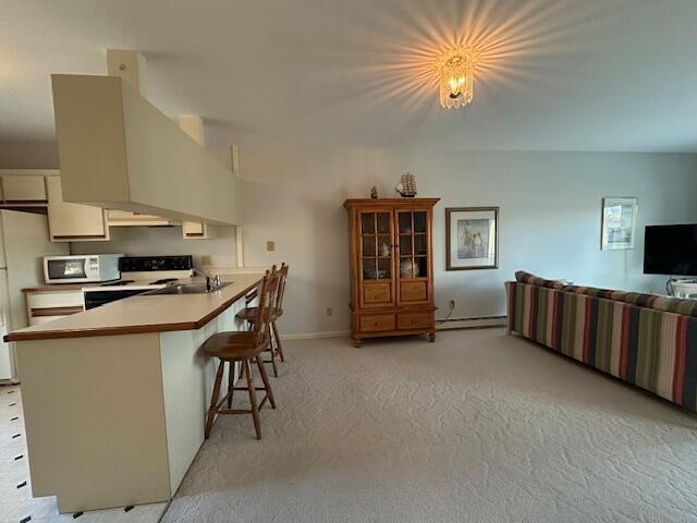 kitchen featuring electric range oven, white microwave, a baseboard radiator, a kitchen bar, and a sink