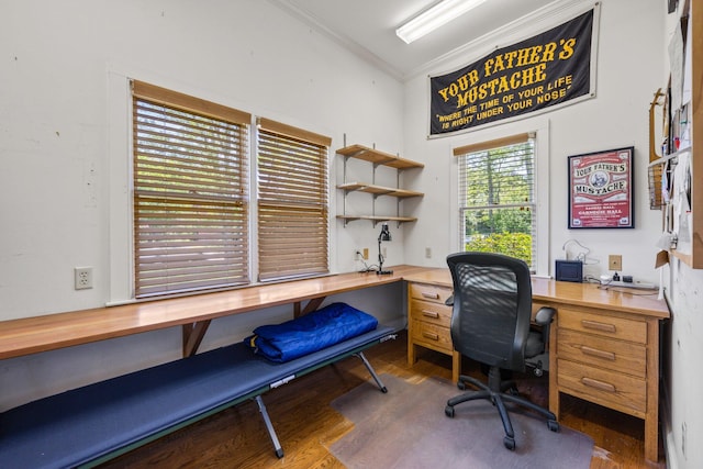 office with hardwood / wood-style floors and crown molding