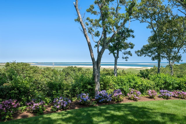 30 Tisquantum Rd, Chatham, MA 02633 - photo 7