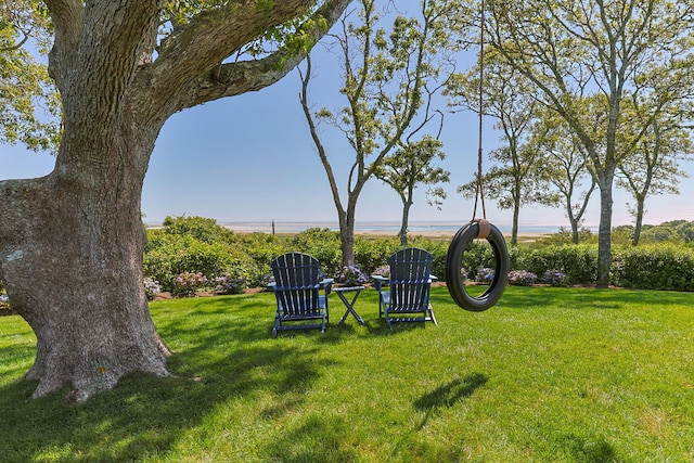 30 Tisquantum Rd, Chatham, MA 02633 - view of green lawn