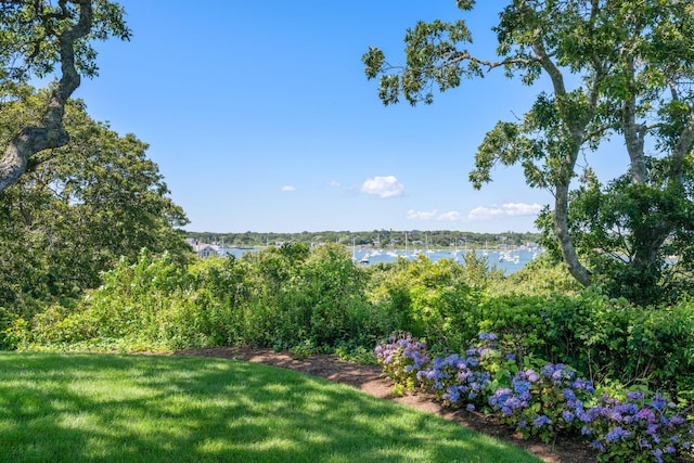 30 Tisquantum Rd, Chatham, MA 02633 - photo 4