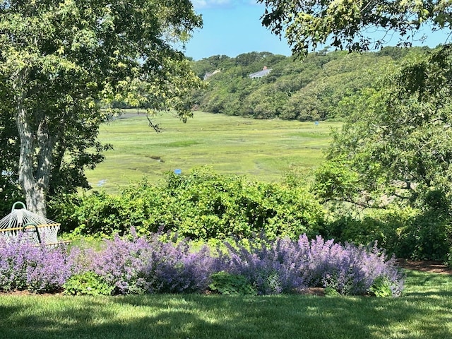 30 Tisquantum Rd, Chatham, MA 02633 - view of green lawn