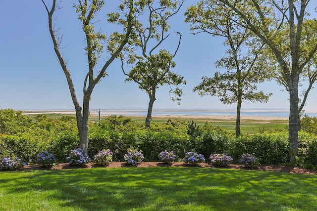 30 Tisquantum Rd, Chatham, MA 02633 - view of grassy yard featuring a water view