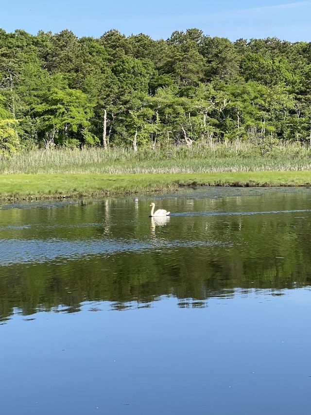 45 Green Pond Rd, East Falmouth, MA 02536 - water view with a forest