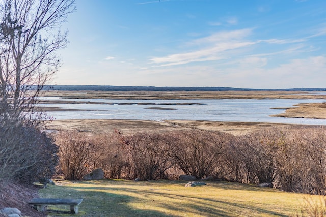 property view of water