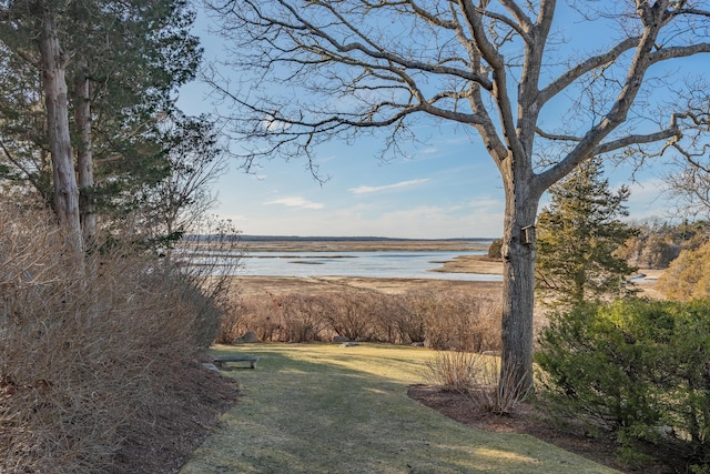 property view of water