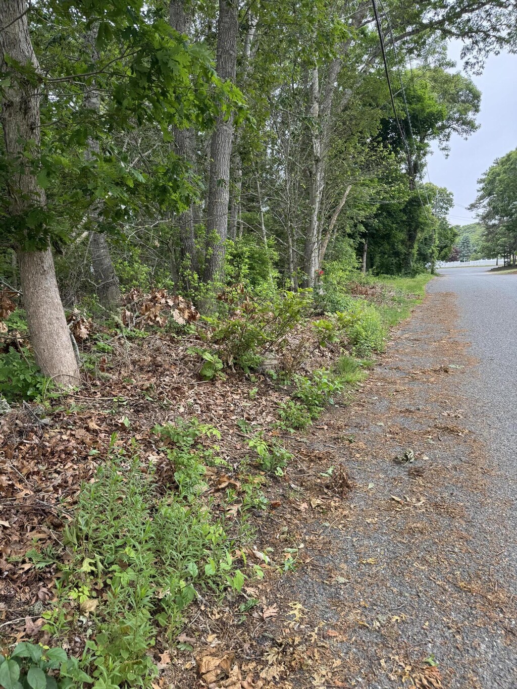 11 Lane Rd, Dennis Port, MA 02639 - photo 2
