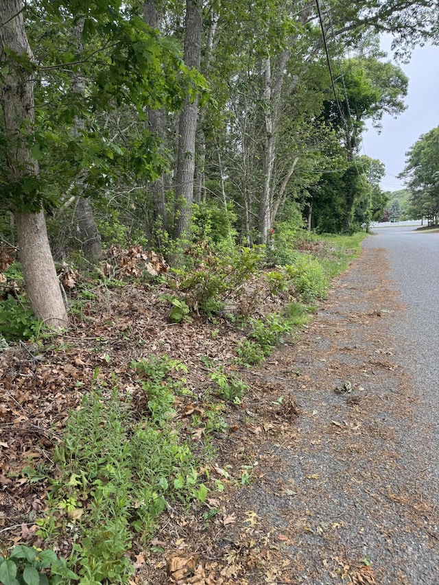 11 Lane Rd, Dennis Port, MA 02639 - photo 2