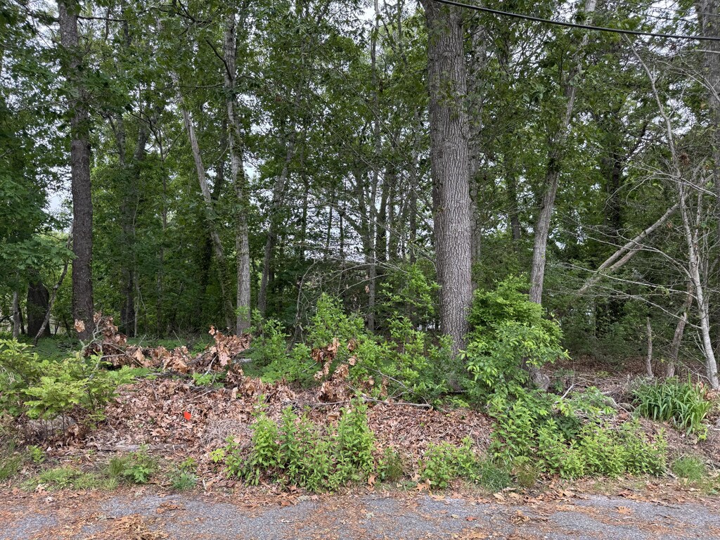 11 Lane Rd, Dennis Port, MA 02639 - photo 1